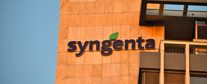 Syngenta Settles Class Claim Over GMO Corn, Agrees to Pay $1.5 Billion to Farmers